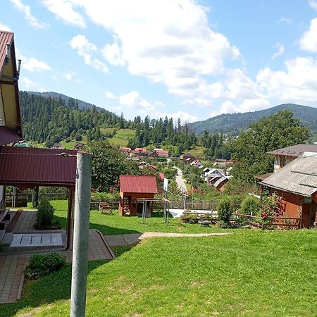 Гірський Краєвид Slavske Buitenkant foto